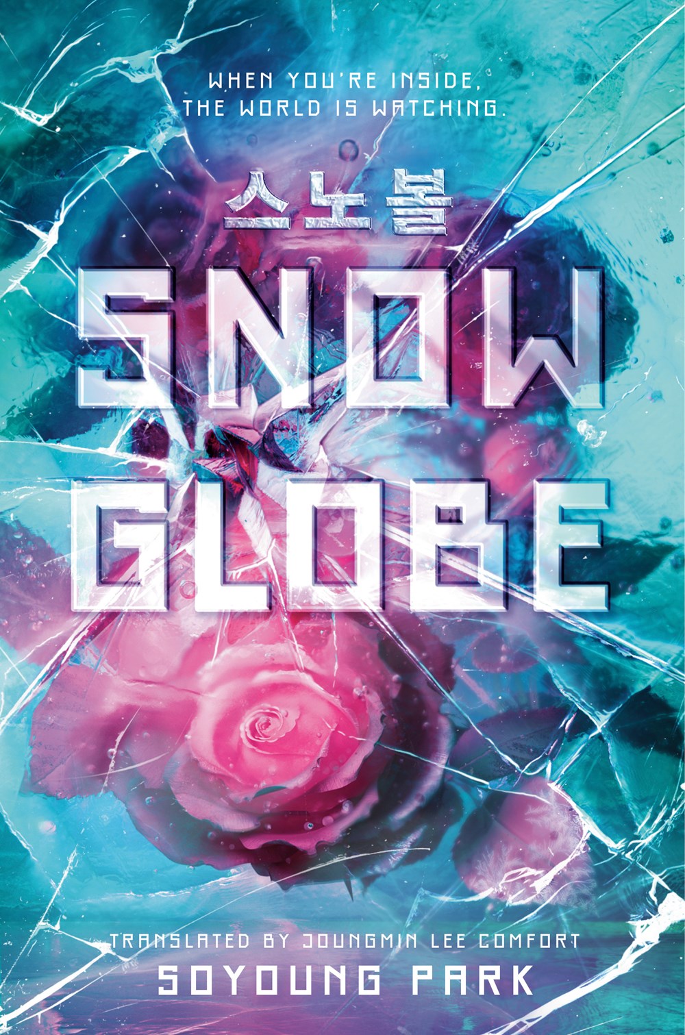 cover of review of Snowglobe by Soyoung Park